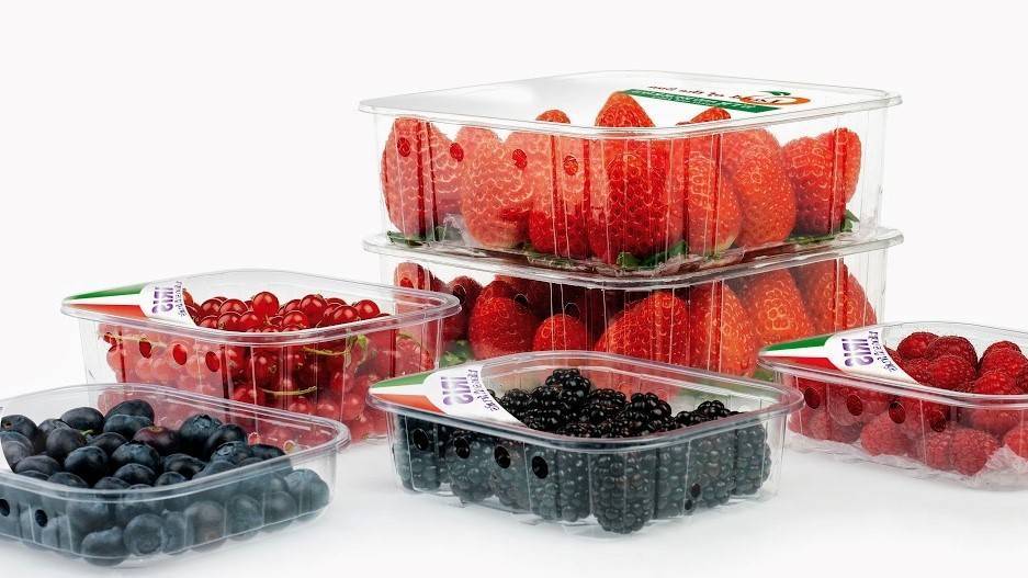 fresa-envase-OK|strawberry-1290966_960_720